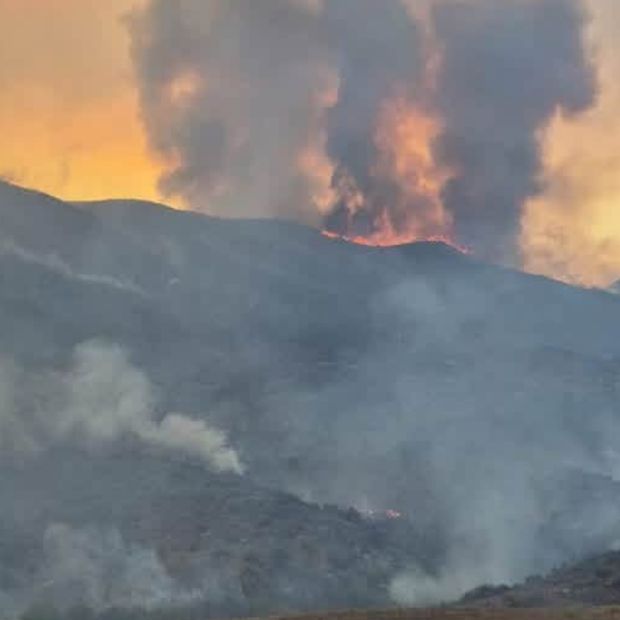 Incendio Afecta 15 Hectáreas de Vegetación en Arroyo San Simón de San Quintín